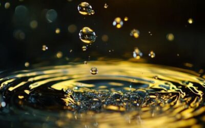 Protection du fœtus : découvrez tout sur le liquide amniotique : fonctions, production et contrôle face aux dangers environnementaux